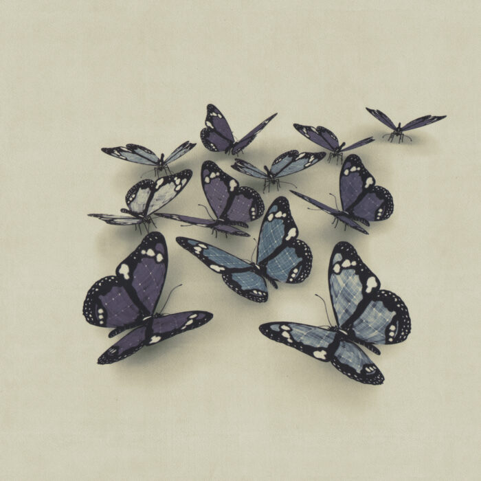 butterflies-3d