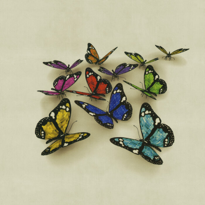 butterflies-3d